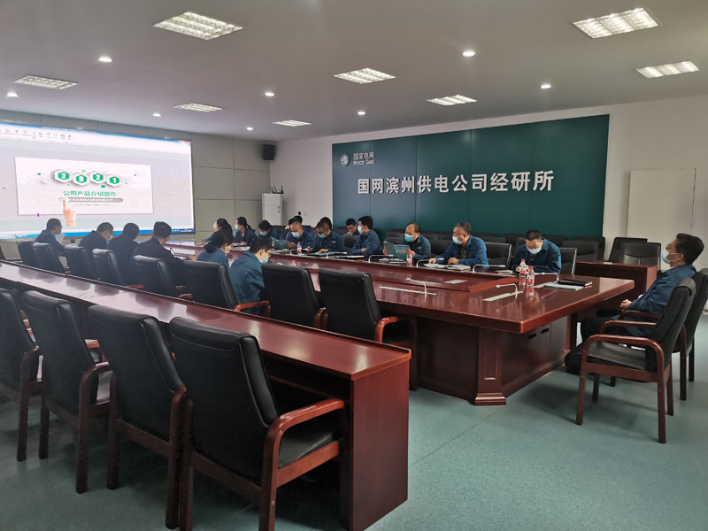 山東永安美、國網(wǎng)濱州供電公司經(jīng)研所電力工程技術(shù)交流會